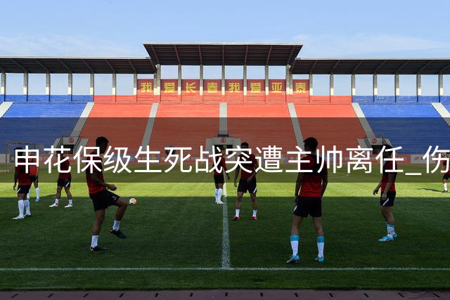 申花保级生死战突遭主帅离任 伤病潮中迎战青岛海牛